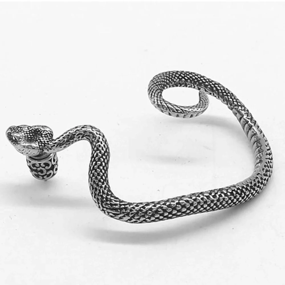 Retro Snake Earrings